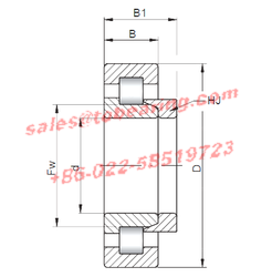 Consolidated Bearing CYLINDRICAL ROLLER BEARING NU-2202E M 