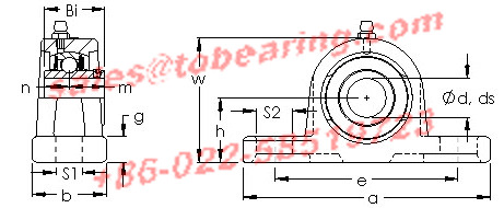 Consolidated Bearing CYLINDRICAL ROLLER BEARING NJ-2213E C/3 